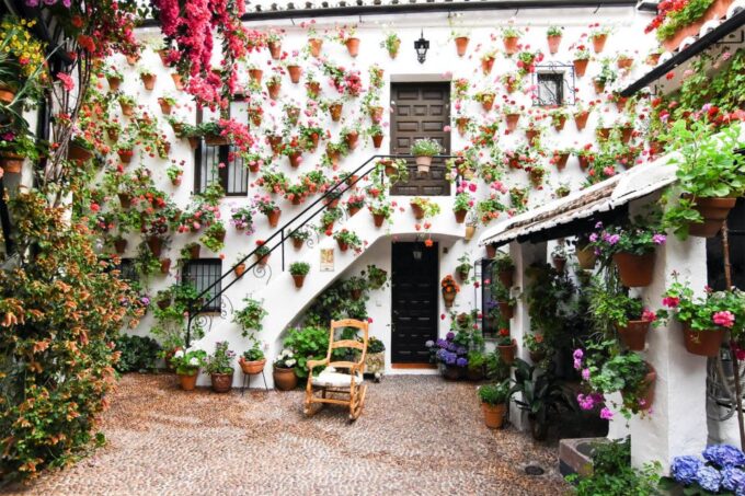 Córdoba: Guided Tour of the Patios - Visitor Insights