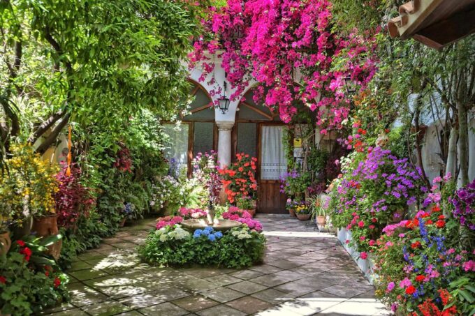 Córdoba: Guided Tour of the Patios - Meeting Point