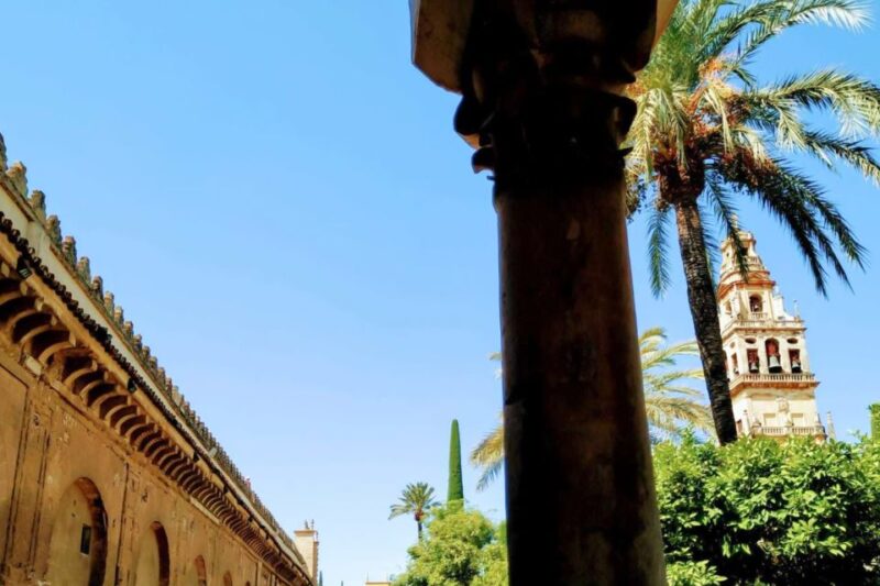 Cordoba Highlights Full-Day Tour From Granada - Key Highlights