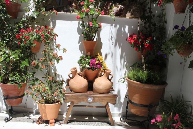 Cordoba Highlights Full-Day Tour From Granada - Tour Inclusions