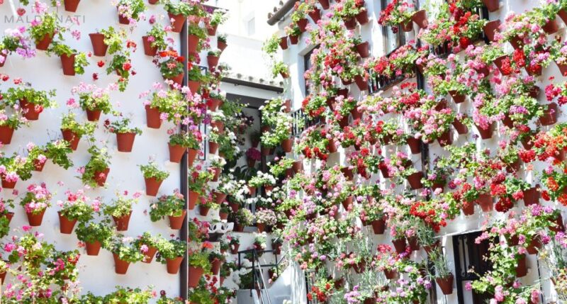 Córdoba Highlights Walking Tour - Explore Tendillas Square