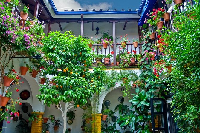 Cordoba Including Mosque and Cathedral Guided Tour From Seville - Transportation and Pickup