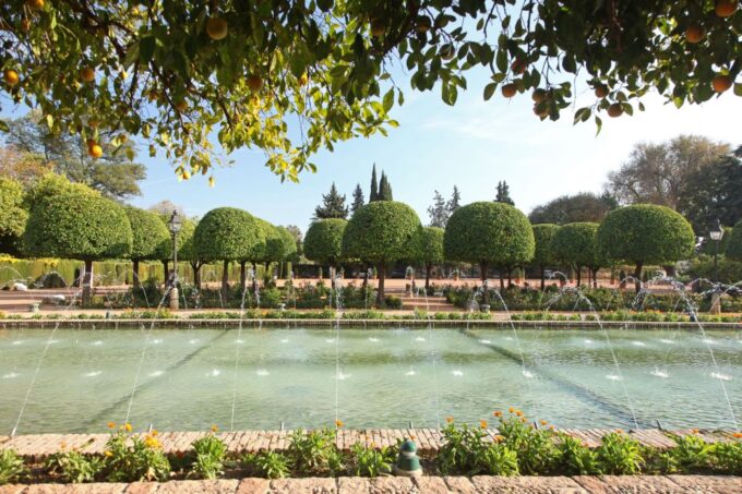 Cordoba: Jewish Quarter, Alcázar and Mosque-Cathedral - Customer Feedback and Reviews