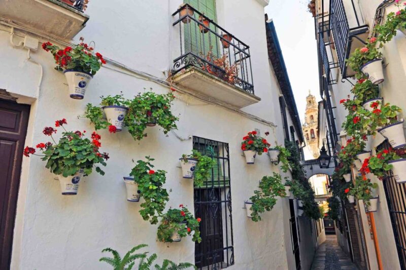 Córdoba: Jewish Quarter & Mosque-Cathedral Walking Tour - Key Points