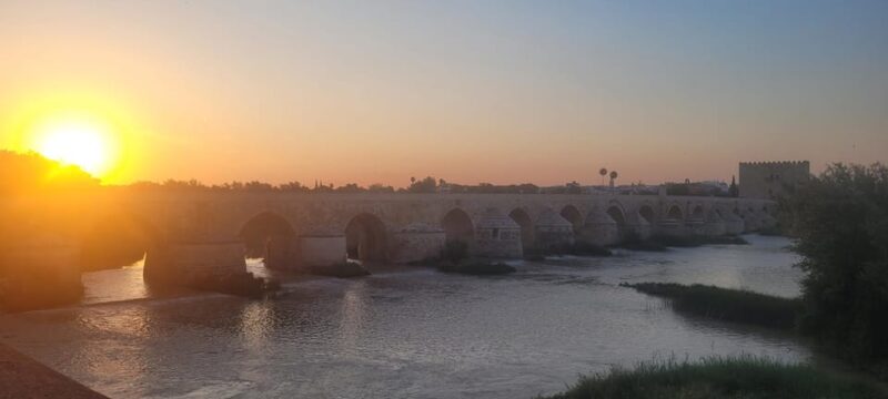 Córdoba Mid-Morning Walk - Small Groups, Native English. - Customer Reviews