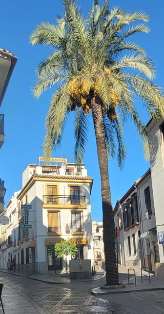 Córdoba Mid-Morning Walk - Small Groups, Native English. - FAQ