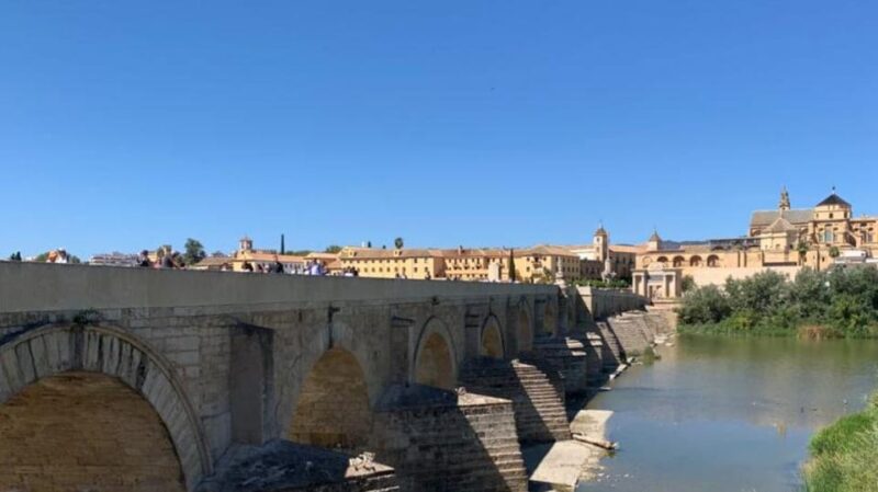 Córdoba Monumental From the Costa Del Sol - Key Points