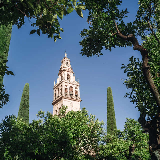 Córdoba Monumental From the Costa Del Sol - 19 Pickup Locations