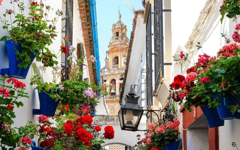 Cordoba: Mosque and Alcazar Private Tour With Tickets - Inclusions and Exclusions