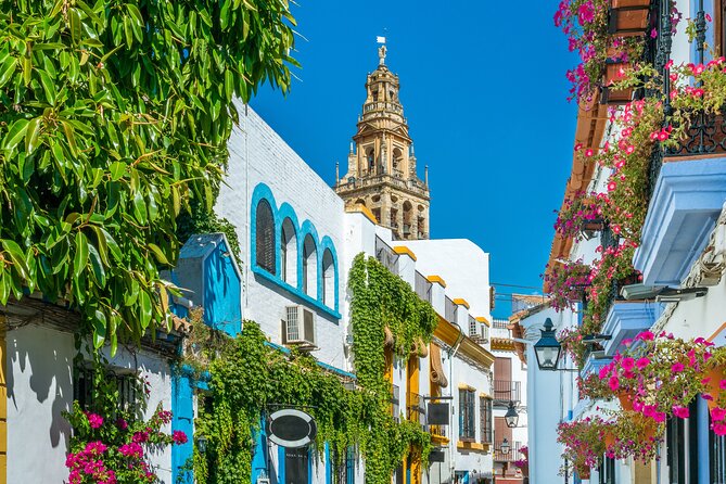 Cordoba Mosque-Cathedral & City Private Tour - Accessibility