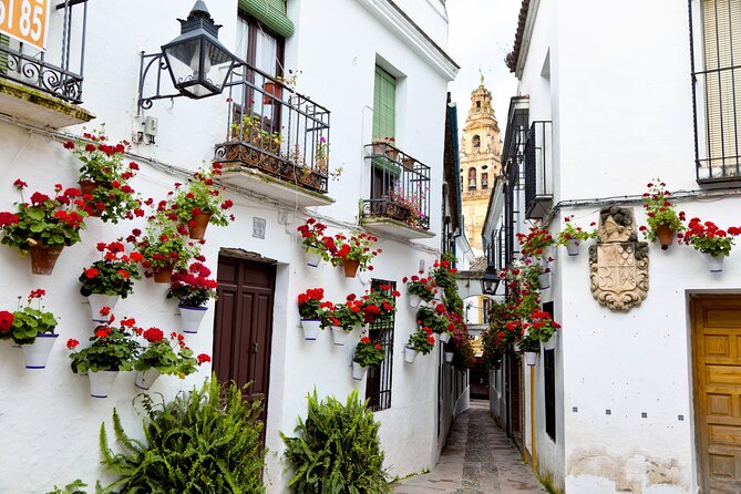 Cordoba Mosque-Cathedral & City Private Tour - Private Group Customization