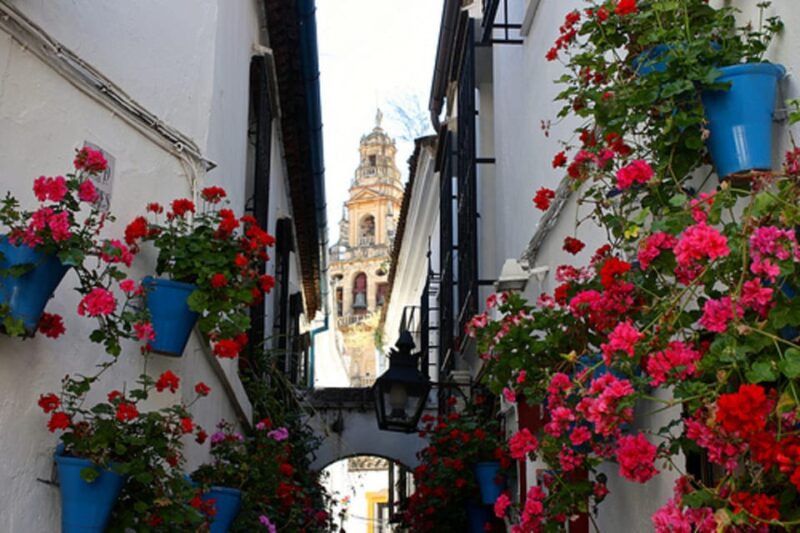 Córdoba: Mosque-Cathedral of Cordoba Private Walking Tour - Architectural Importance