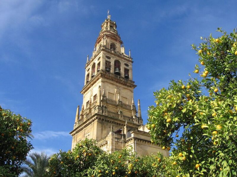 Cordoba: Mosque-Cathedral Private Tour With Ticket Included - Califat of Cordoba