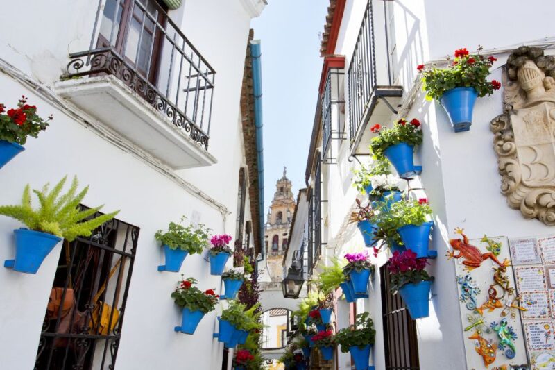 Cordoba Mosque & Jewish Quarter Tour With Tickets - Tour Highlights and Experience