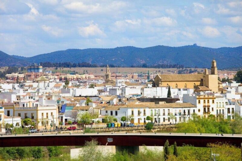 Cordoba: Old Town Private Walking Tour - Navigating Calleja De Las Flores
