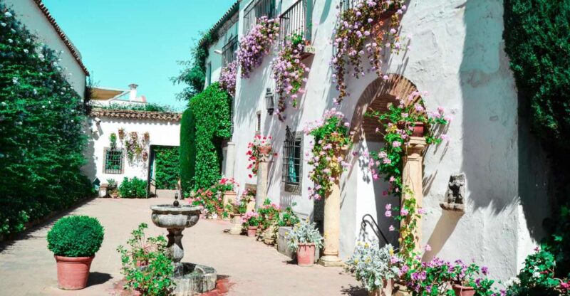 Cordoba: Patios and Viana Palace Tour - Key Points