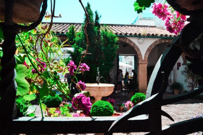 Cordoba: Patios and Viana Palace Tour - Experience Highlights