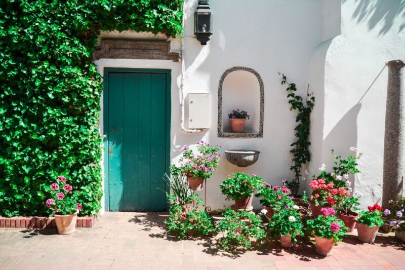 Cordoba: Patios and Viana Palace Tour - Tour Details
