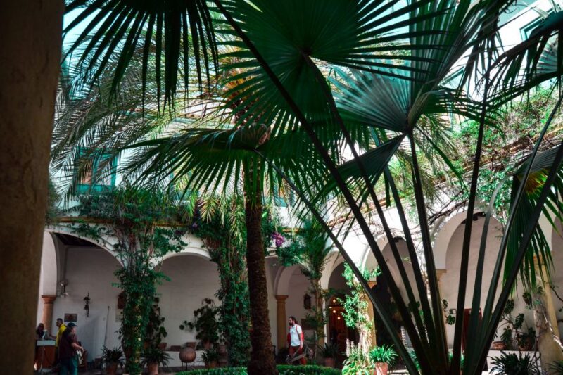 Cordoba: Patios and Viana Palace Tour - Additional Information