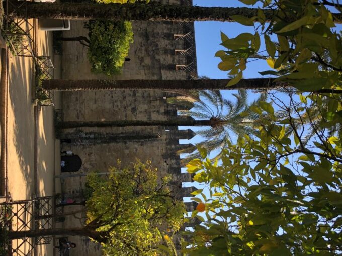 Córdoba: Private Bike Highlights Tour With Personal Guide - Royal Stables