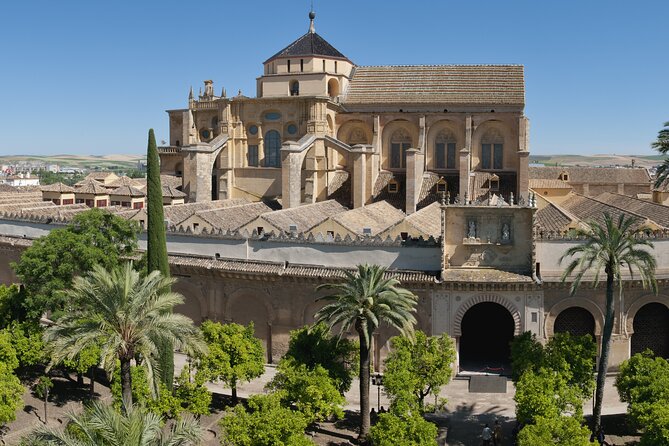 Cordoba Private Daytrip From Sevilla by Train - Accessibility for the Tour