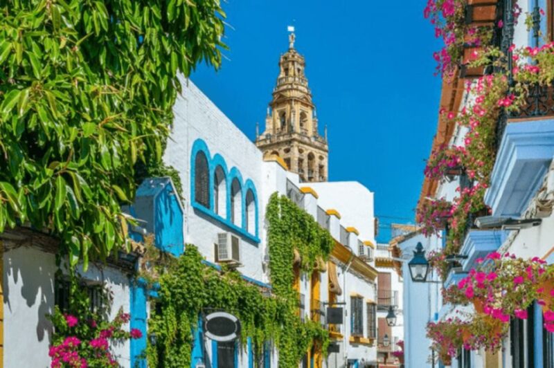 Cordoba Private Daytrip From Seville by Train - Train Journey to Cordoba