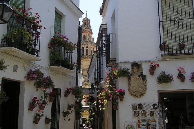 Córdoba Private Guided Day Tour From Madrid in Fast Train - Worth The Stay