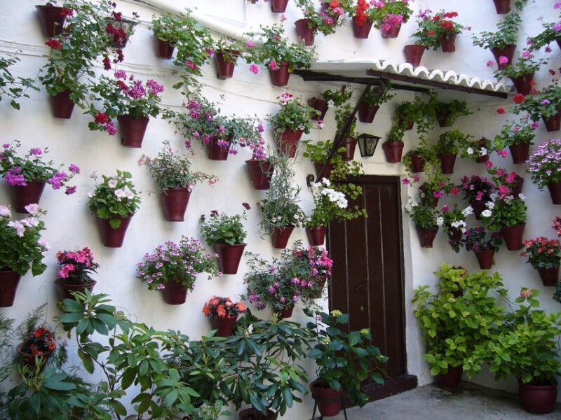 Cordoba: Private Guided Walking Tour - Admire the Puerta Del Puente