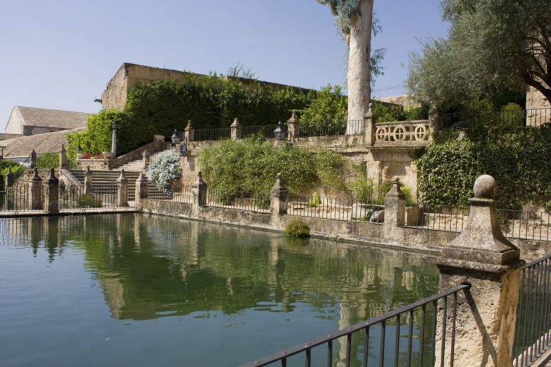 Cordoba: Private Guided Walking Tour - Stroll Through the Patio De Los Naranjos