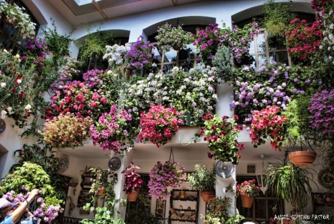 Cordoba: Private Guided Walking Tour - Visit the Plaza Del Potro