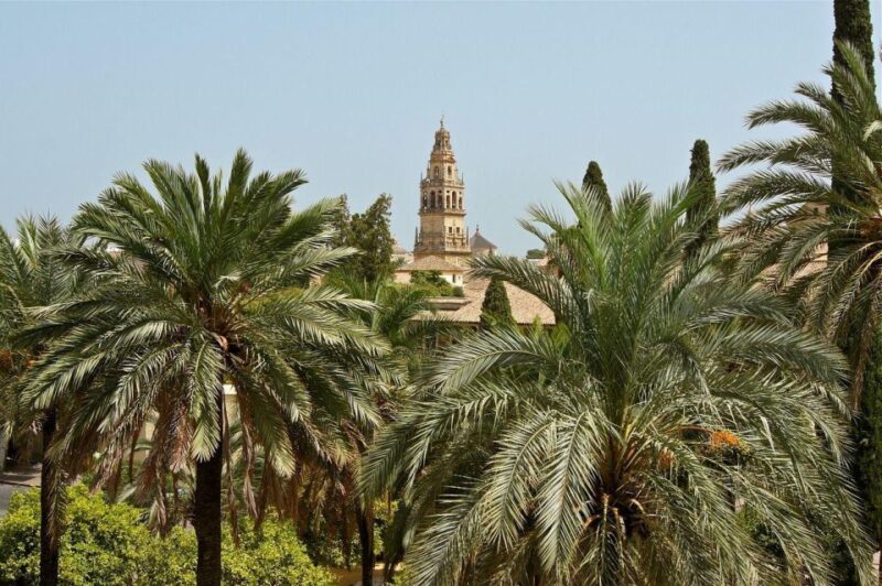 Cordoba Private Guided Walking Tour - Coexistence of Faiths