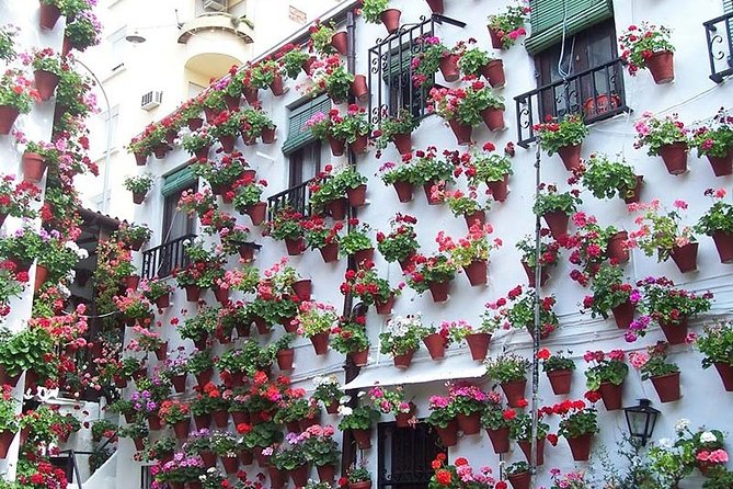 Cordoba Private Tour From Seville Including the Great Mosque for up to 8 Persons - Key Points