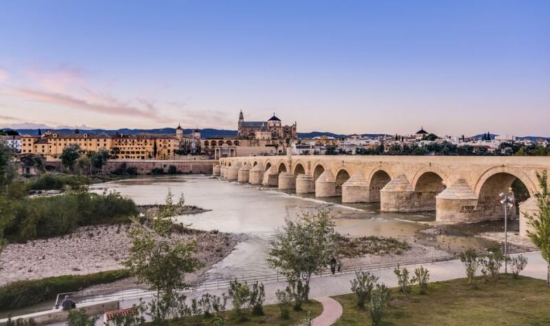 Córdoba: Private Tour With Lunch - Tour Details