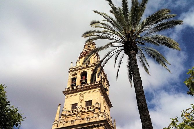 Cordoba Private Walking Tour - Tour Highlights