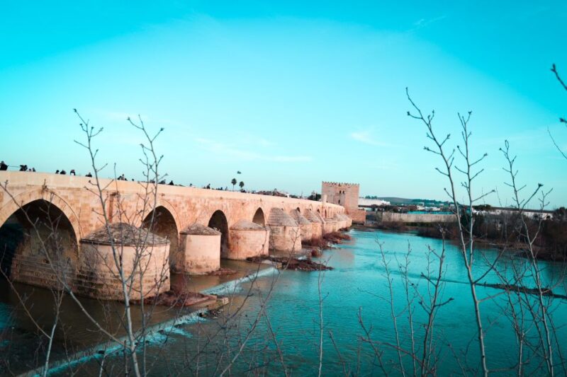 Cordoba: Private Walking Tour - Booking and Cancellation
