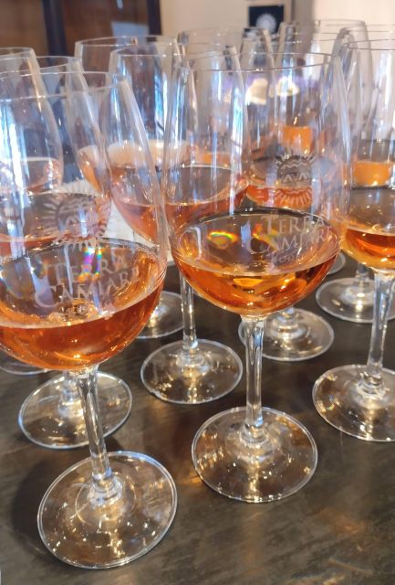 Córdoba: Private Wine Tour to Colonia Caroya - Argentina - Key Points