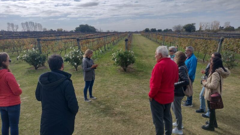 Córdoba: Private Wine Tour to Colonia Caroya - Argentina - Pricing and Inclusions