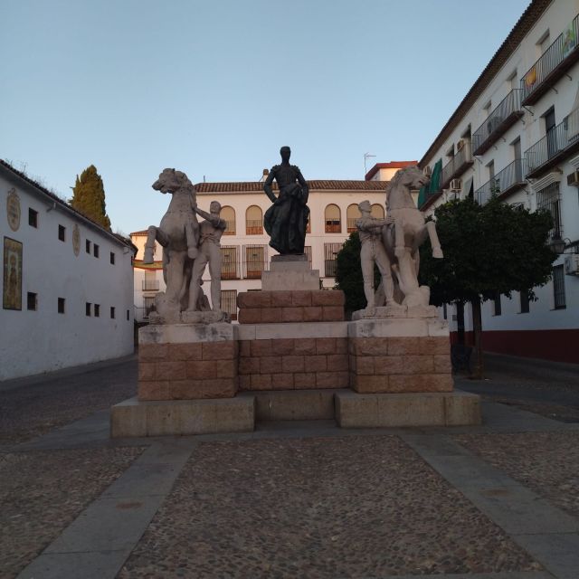 Córdoba: Running Tour - Suitability and Adaptability