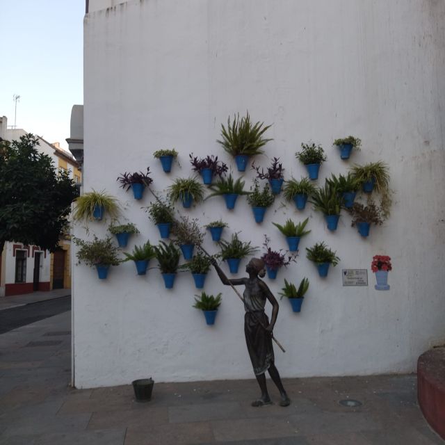 Córdoba: Running Tour - Customer Testimonials