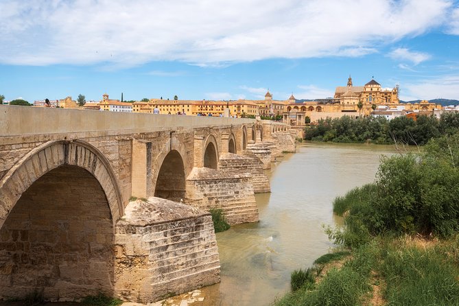 Cordoba & the Mosque Small-Group Day Trip From Granada - Customizing Your Day Trip Experience