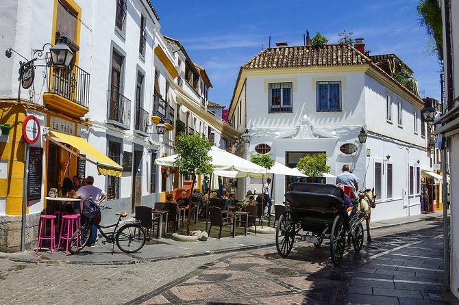 Cordoba & the Mosque Small-Group Day Trip From Granada - Inclusions and Exclusions of the Tour