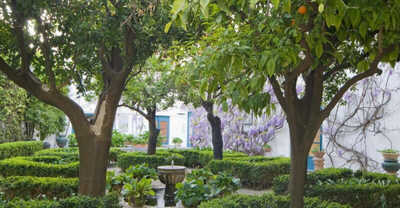 Córdoba: Viana Palace Gardens and Patios Entry Ticket - Key Points