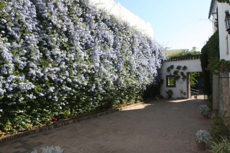 Córdoba: Viana Palace Gardens and Patios Entry Ticket - Viana Palace Overview