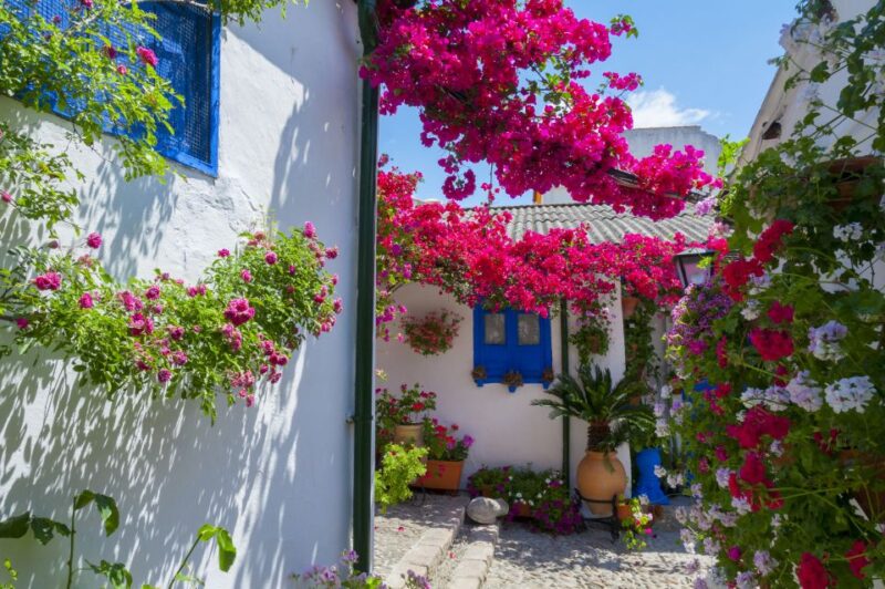 Cordobas Authentic Patios: 2-Hour Tour With Tickets - Tour Inclusions