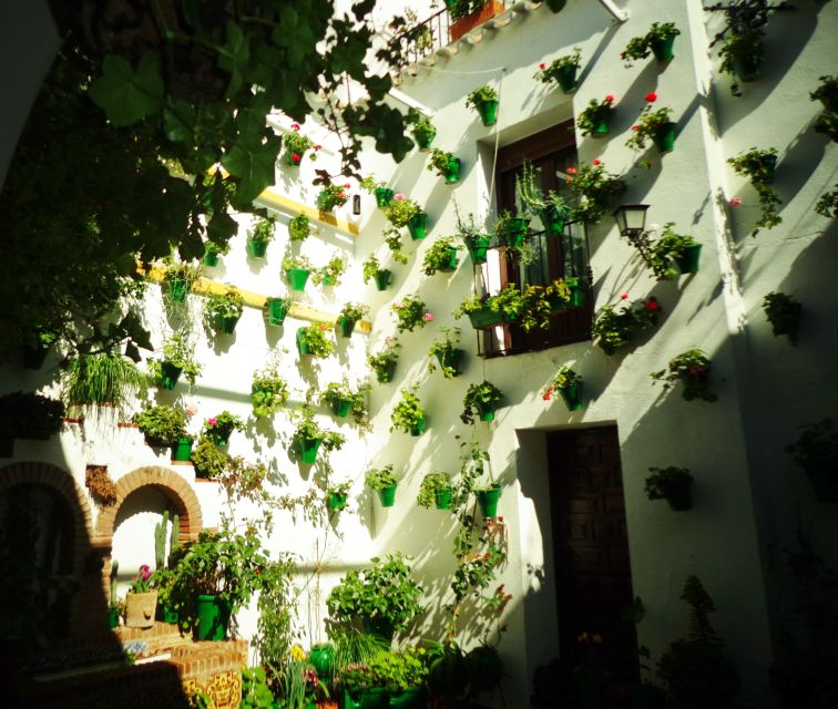 Cordobas Authentic Patios: 2-Hour Tour With Tickets - Patios Festival Details