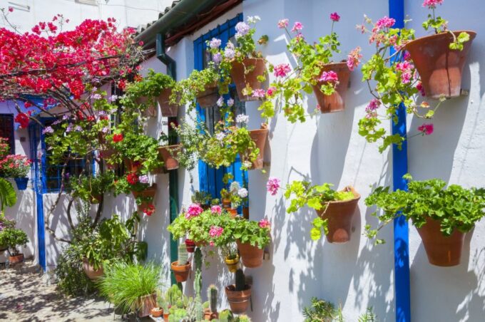 Cordobas Authentic Patios: 2-Hour Tour With Tickets - Customer Feedback Ratings