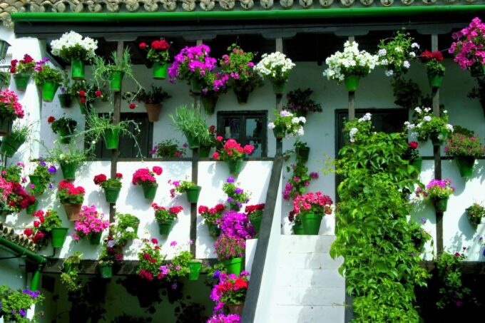 Cordobas Authentic Patios: 2-Hour Tour With Tickets - Booking Flexibility and Cancellation