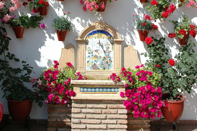 Cordobas Authentic Patios: 2-Hour Tour With Tickets - Reviews and Feedback