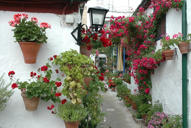 Cordobas Authentic Patios: 2-Hour Tour With Tickets - Tour Limitations