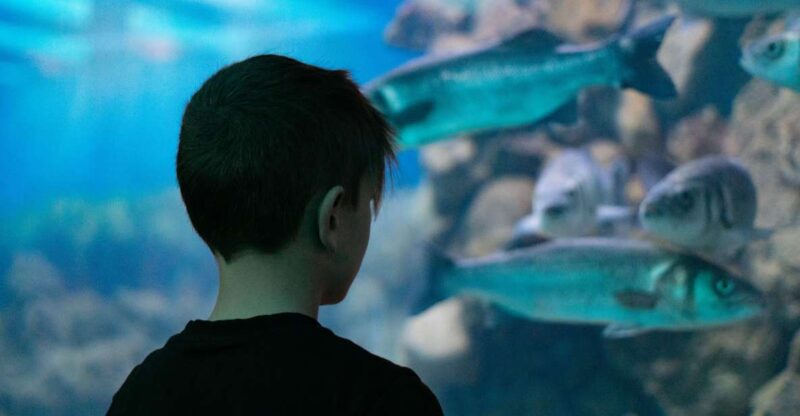 Corfu: Aquarium Entry Ticket With Guided Tour - Key Points